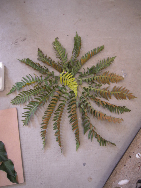 c0232541_726449.jpg