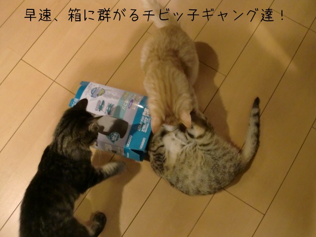 c0259945_13113253.jpg