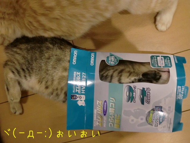 c0259945_13115951.jpg