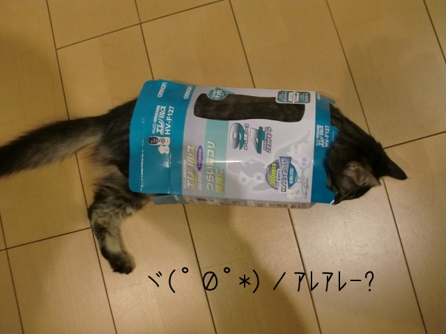 c0259945_13131453.jpg