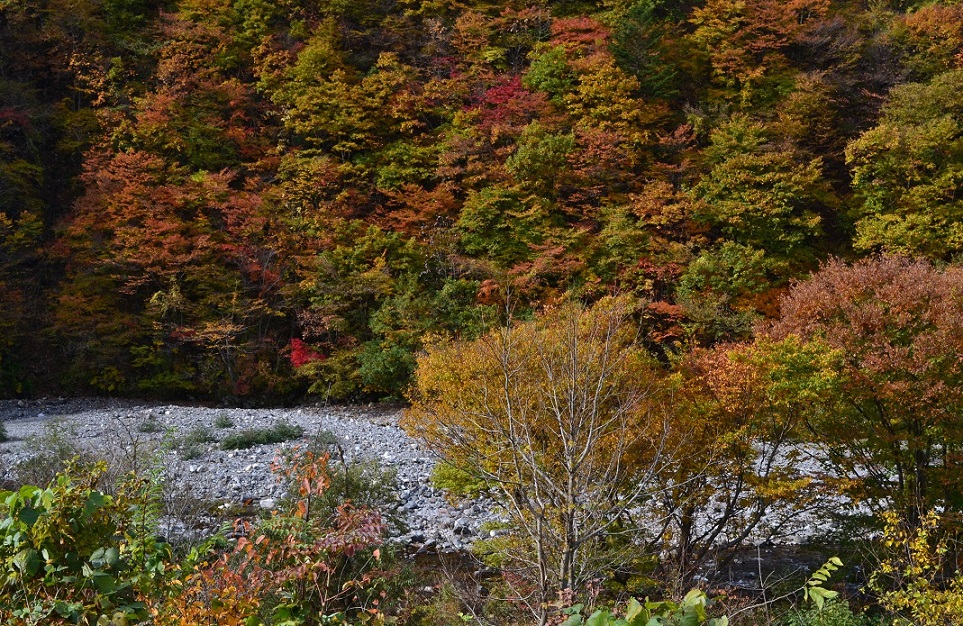 a0055650_8435381.jpg