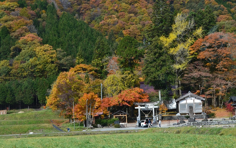 a0055650_8455442.jpg