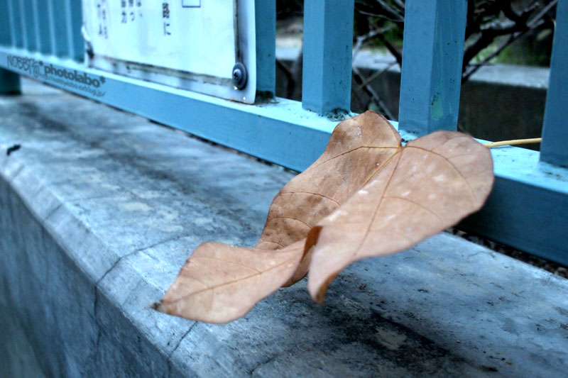 a0134950_23283436.jpg