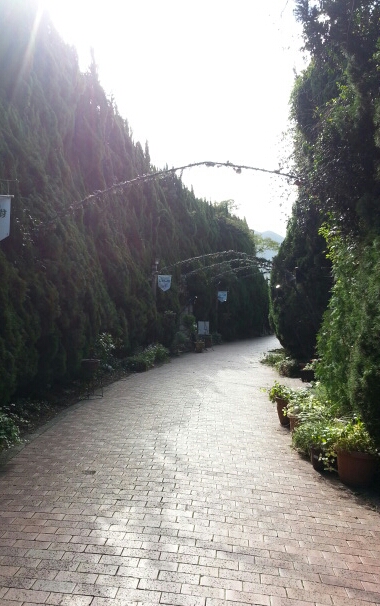 b0274050_834458.jpg