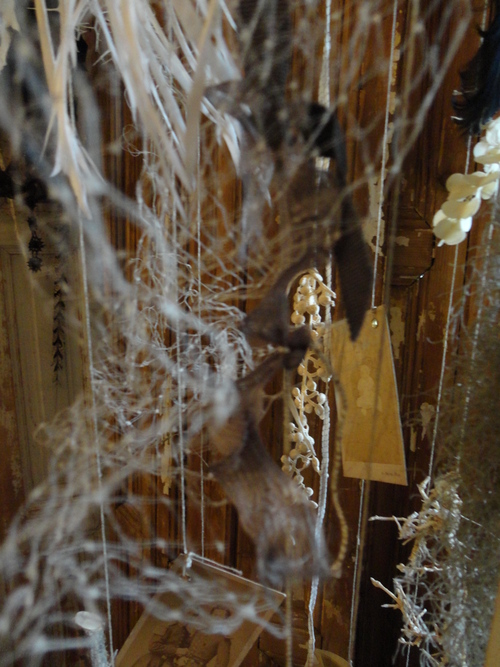 Raspberry & Reve Couture event 2013_d0162257_2252824.jpg