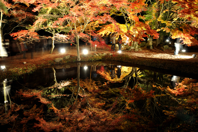 曽木公園の逆さ紅葉_a0169060_1114290.jpg