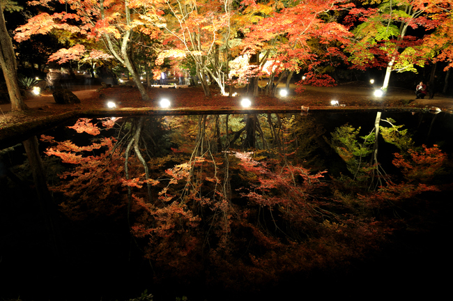 曽木公園の逆さ紅葉_a0169060_15513.jpg