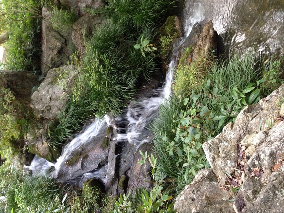 b0309560_12365881.jpg