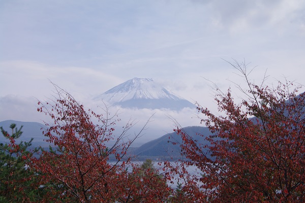 紅葉散策（河口湖・本栖湖）_d0164761_94563.jpg