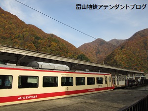 週末報告_a0243562_15571736.jpg