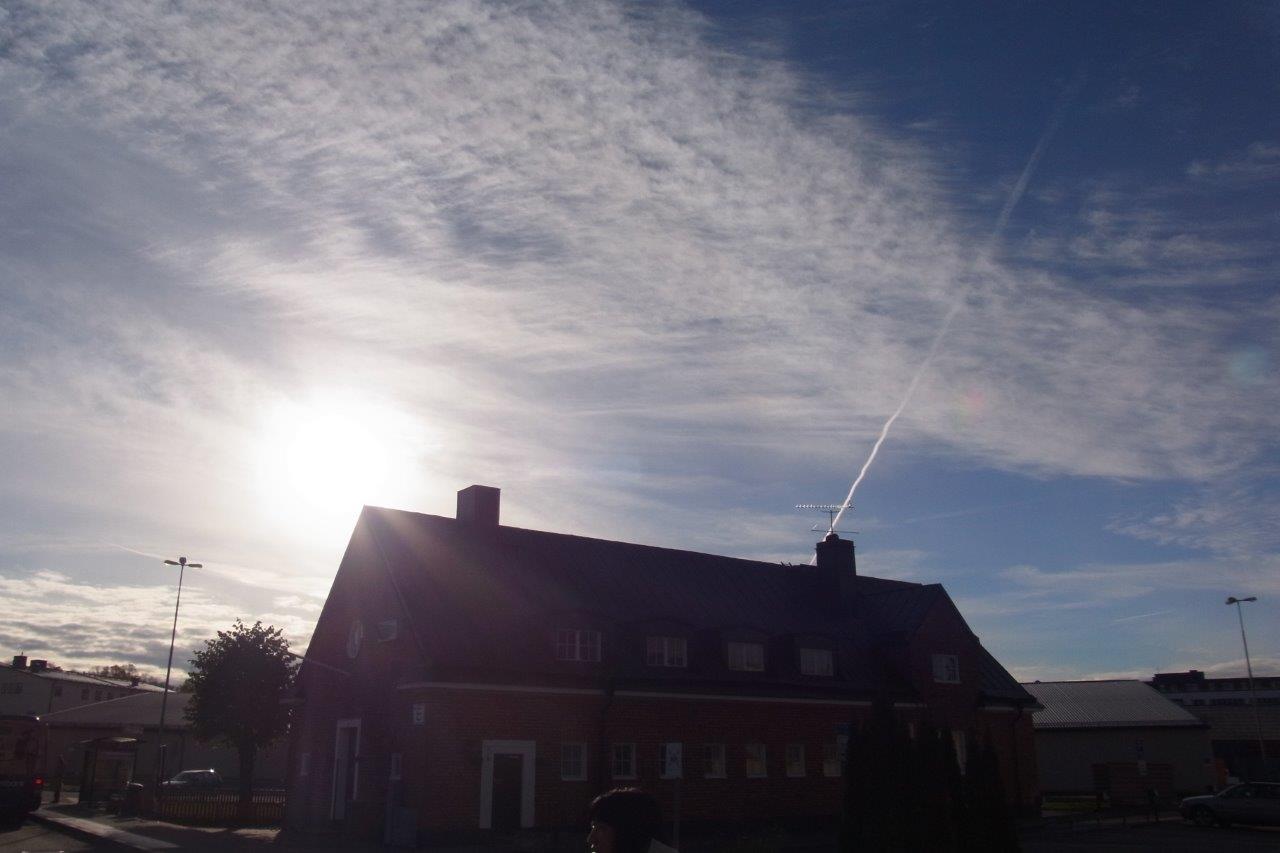 a0123465_3197.jpg