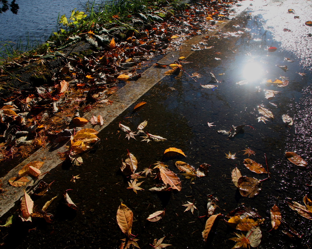 榛名湖畔の紅葉（11/11）_c0305565_1757407.jpg