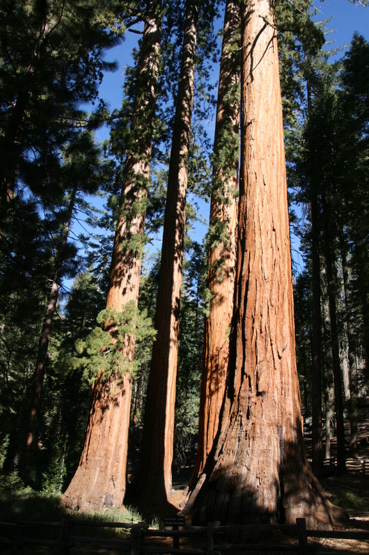 c0115366_222134.jpg