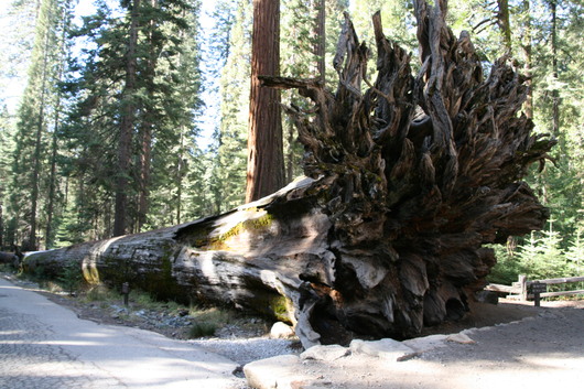 c0115366_2243785.jpg