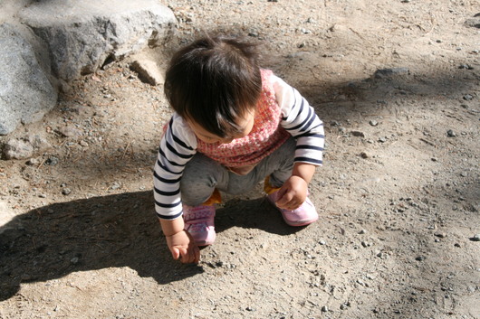 c0115366_2285187.jpg