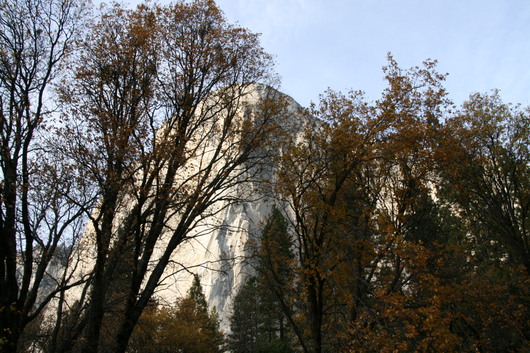 c0115366_240237.jpg