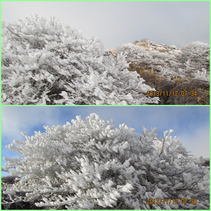 霧氷の花咲く九重蓮山へ・・・その１（扇ヶ鼻御来光登山）_f0016066_2055303.jpg