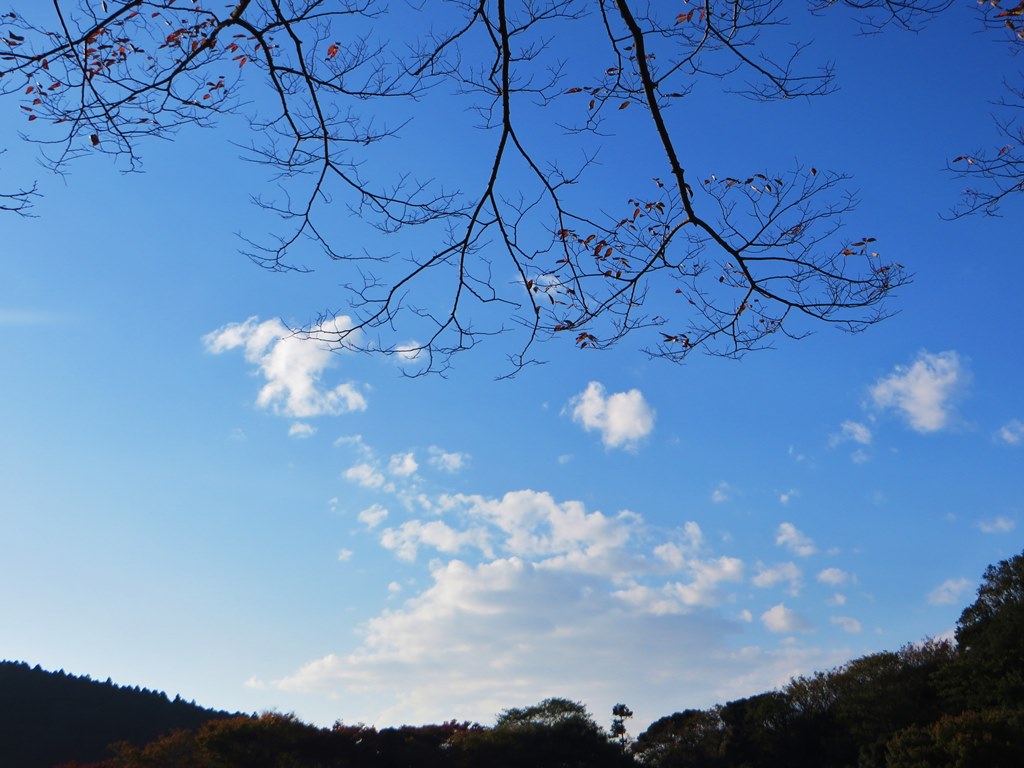 秋晴れ・南郷上ノ山公園。。。神奈川県三浦郡_f0184669_14133779.jpg