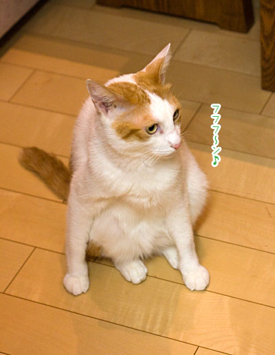 a0119470_23133244.jpg
