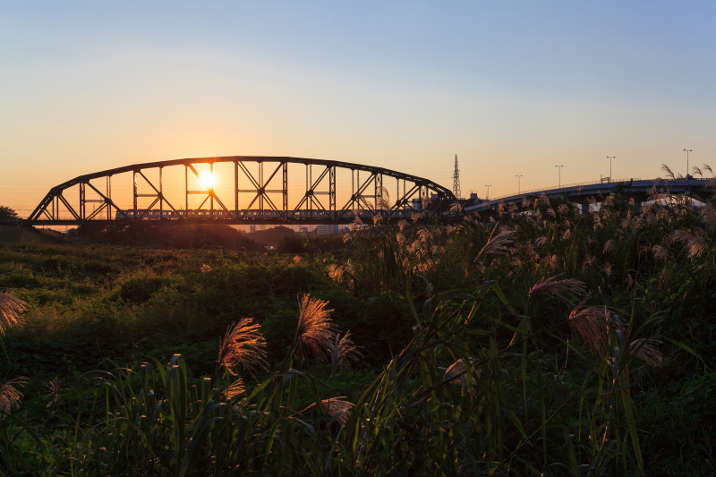 京都　　黄金色の夕景_a0314571_2205493.jpg