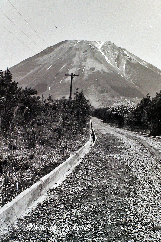 e0002371_1116423.jpg