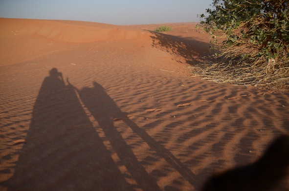 e0066474_0452516.jpg