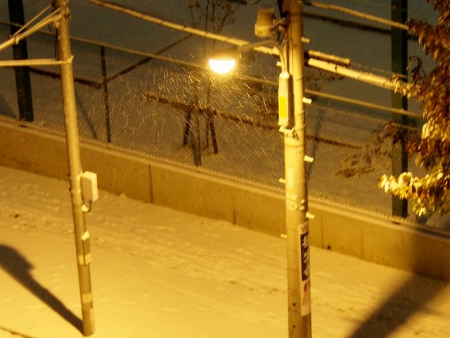 c0183777_8525840.jpg