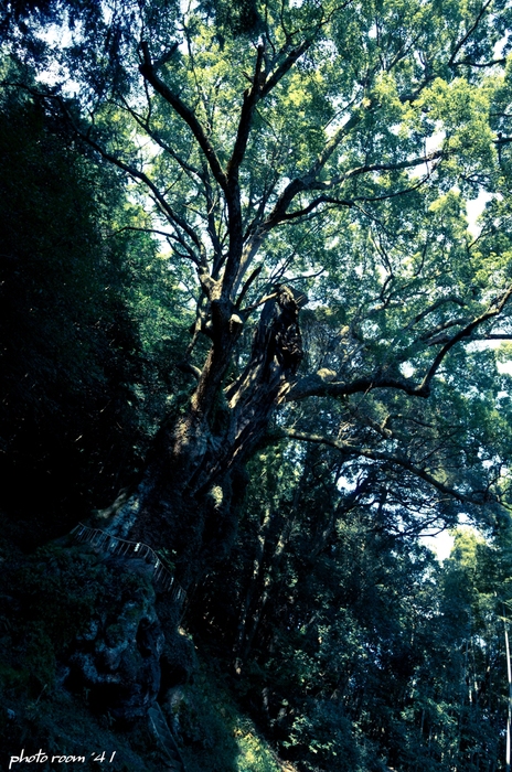 e0250481_015075.jpg