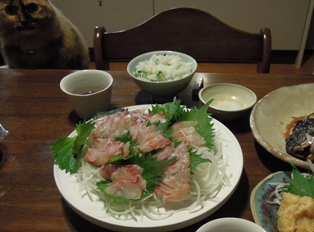 久々に船で_d0195183_1181725.jpg