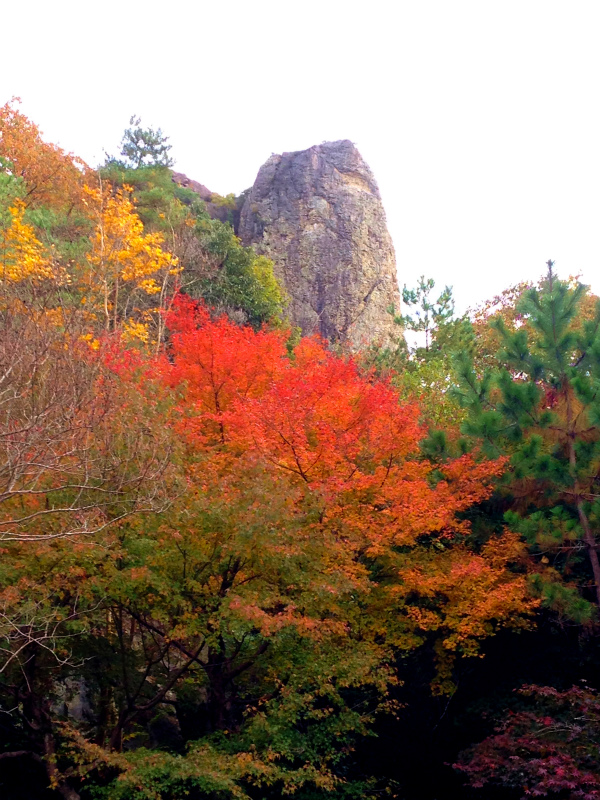 2013/11/12 Scrambling Session in 道場_b0220886_19461326.jpg