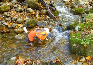e0121589_011029.jpg