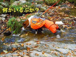 e0121589_17432076.jpg
