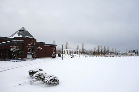 f0159390_1705533.jpg