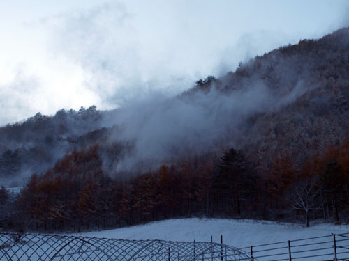 f0236291_1161385.jpg