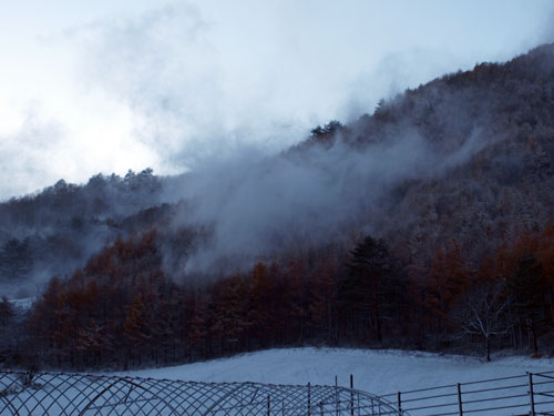 初雪ですよ☆_f0236291_1161385.jpg