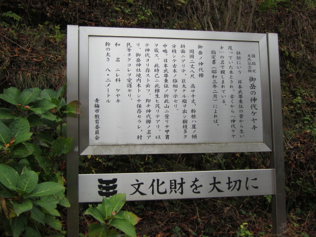 d0098295_23314175.jpg