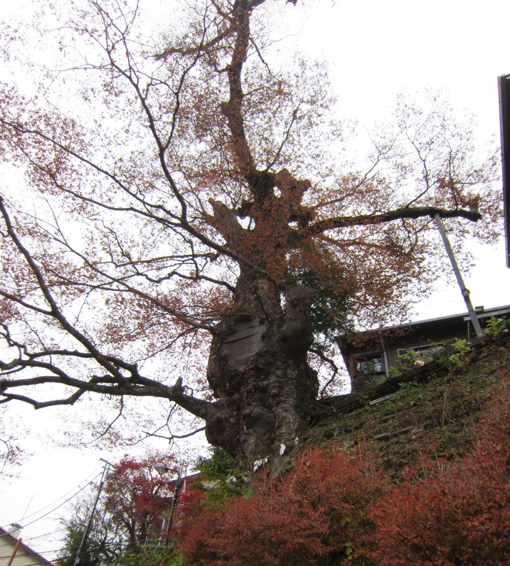 d0098295_2332923.jpg