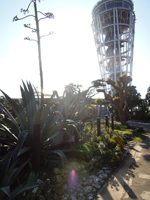 湘南_b0055196_2243326.jpg