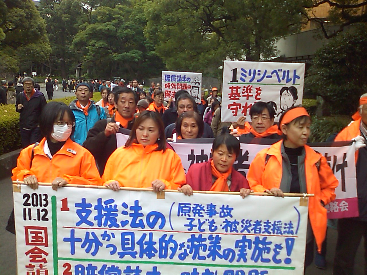 国会に声を届けた!原発事故被害者の救済を求め請願_e0068696_23163687.jpg