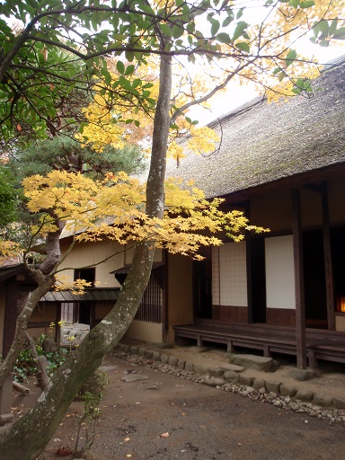 d0069498_21511092.jpg