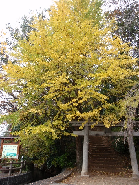 d0069498_21551442.jpg