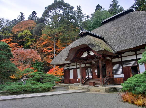 常楽寺と御船の松 上田市別所温泉の紅葉と五木めぐり 四季の信濃路