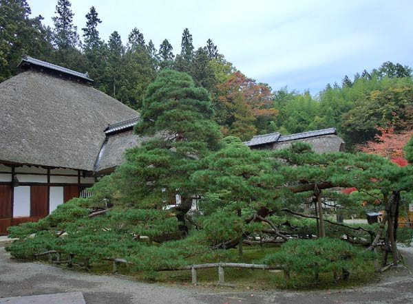 e0269400_9291679.jpg