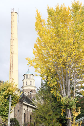 a0115202_2149412.jpg