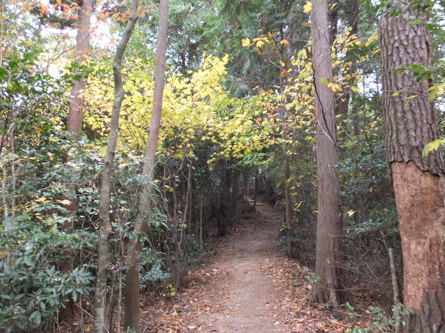 a0271502_16234646.jpg
