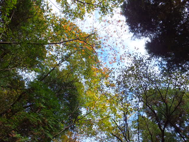 a0271502_1642751.jpg