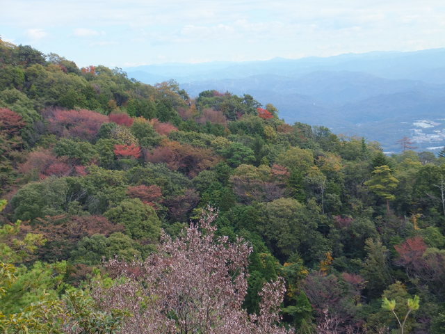 猿投山　～東海自然歩道を歩く～_a0271502_1691184.jpg