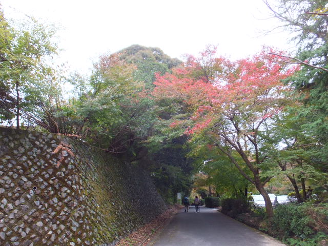 猿投山　～東海自然歩道を歩く～_a0271502_1732848.jpg