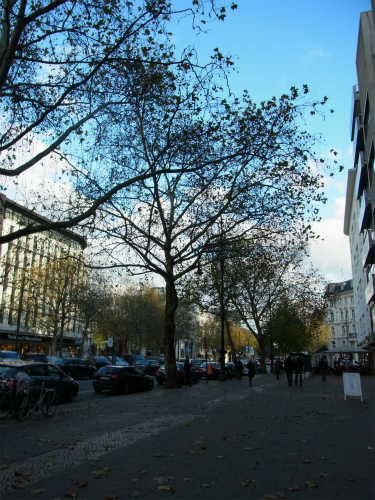 e0149604_22320740.jpg