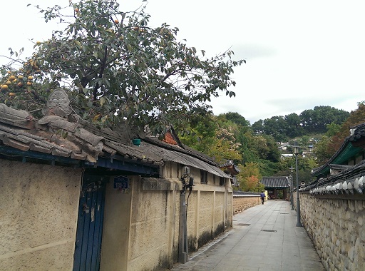 a0140305_0162829.jpg